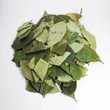 Chá Ou Mascar - Folhas Verdes - Emagrecimento Energético