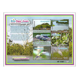 # Mcn # Nicarágua 2012 - Fauna E Flora - Bloco Novo, Mint