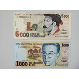 Gaúcho/fe