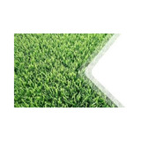 03 Kg De Grama Esmeralda Para 3000m² 100% Puras Certificadas