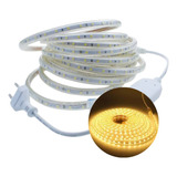 03 Metro Mangueira Led Chata 5w m 3k Quente 110v Conector Cor Da Luz Branco quente Tensão De Operação 110