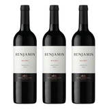 03 Vinhos Argentinos Benjamin Nieto Malbec 750 Ml