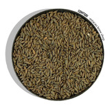 Rye