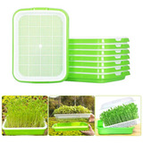 05 Bandejas Duplas Microverdes Germinação Broto Hidroponica