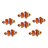 Nemo
