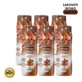 06 Und Sabonetes Íntimo Aroeira Malva Barbatimão 200ml