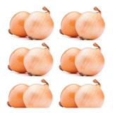Brinde