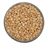 Garantida