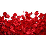 1 300 Pétalas Vermelha De Rosas Artificiais Casamento Noivas