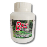 1 Frascos B52 60 Cápsulas S Moreira Suplemento Nutricional