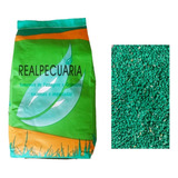 1 Kg De Sementes De Grama Pensacola Incrustada P/ 200 M2 