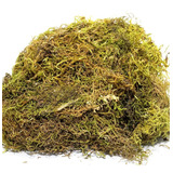 1 Litro Musgo Verde Desidratadas Decoração Arranjos Flores