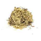 1 Litro Musgo Verde Sfagno Sphagnum Seco Alporquia Orquideas