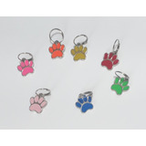 Cachorros