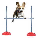 1 Salto Para Agility - Adestramento De Cachorro