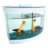 1 Beteira Vision Dupla Aquario Curvo Peixes Plantas E Bettas