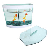 1 Beteira Vision Dupla Aquario Curvo Peixes Plantas E Bettas