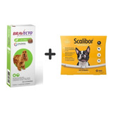 1 Bravecto 500 Mg 10 A 20kg 1 Coleira Scalibor 48cm