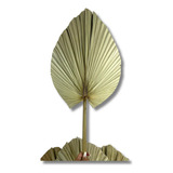 Decoração