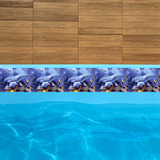 1 M X 15cm Borda Faixa Piscina Proteção 1und Golfinhos