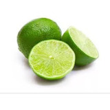 1 Muda De Limão Enxertada Produzindo
