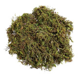1 Musgo Verde Esfagno Desidratado Orquídeas Terrário 50 Lts