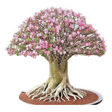 Floresceu