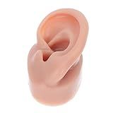 1 Unidade Modelo De Ouvido Humano Adereços De Exibição De Orelha Modelo De Piercing De Borracha Acupuntura Ouvido Humano Modelo De Orelha Mostra De Joias Gel De Sílica Aluna Punção