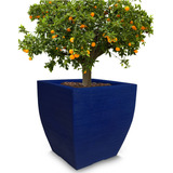 1 Vaso Grande Planta Frutifera Plastico Polietileno 90x90 Cm