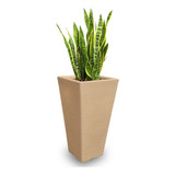 1 Vaso Grande Planta Frutiferas Plastico Polietileno Q 75x40