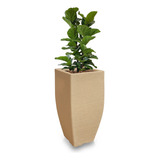 1 Vaso Grande Planta Frutiferas Plastico Polietileno T 75x40
