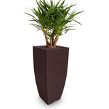 1 Vaso Grande Planta Frutiferas Plastico Polietileno T 90x40