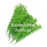 10 Bambu, H=10 Cm, Arbusto Paisagismo