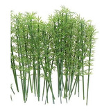10 Bambu, H=14 Cm, Arbusto Paisagismo