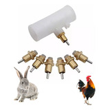 10 Bebedouro Automático Aves Roedores Niple Aço + Conexão T