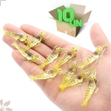 10 Iscas Camarão Artificial Silicone Realista Corvina Pesca