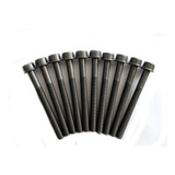 10 Parafuso Gaiola Cabeçote Fiat Motor 1.6 16v - 7773926