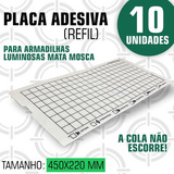 Inseto
