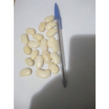 10 Sementes De Feijão Fava Branca Graúda