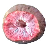 Orgânica