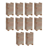 10 Unidades Caixa P/ Abelhas Inpa Sem Ferrão 12x12 Eucalipto