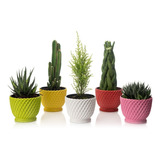 10 Vasos Decorativo Cachepot Pequeno (sem Plantas) 