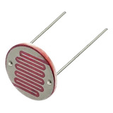 10 X Resistor Ldr 20mm