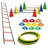 10 Cones Com 5 Barreiras - 10 Pratos Demarcatórios - 8 Argolas Agilidade Com Bolsa - Escada Funcional Rígida