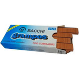 Bacchi