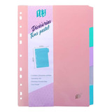 10 Divisória Tons Pastel Caderno Argolado Fichário Sortido