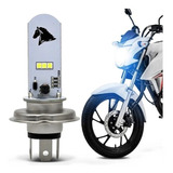 Cbx