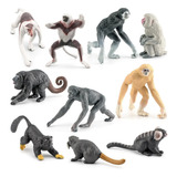 10 Macaquinhos Macacos Primatas