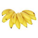 10 Mudas De Banana Maçã Brs Tropical Embrapa Manual