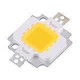 10 Peças 10w Led Cob Chip Lâmpadas Substituição De Holofote De Alta Potência Branco Frio Quente Opcional Suporte De Alumínio Resistente Branco Quente 